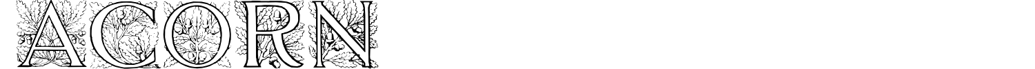 Acorn Font preview
