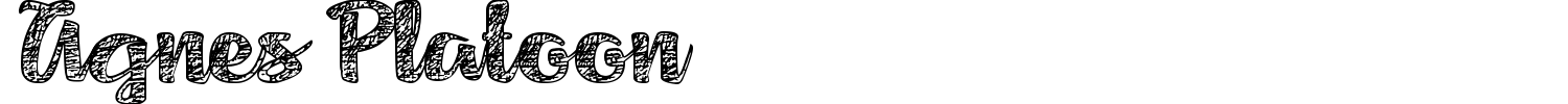 Agnes Platoon Font preview
