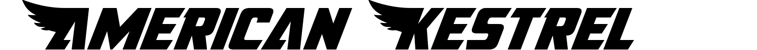 American Kestrel Font preview