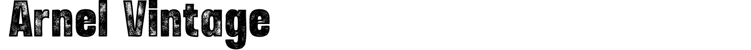 Arnel Vintage Font preview