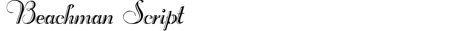 Beachman Script Font preview