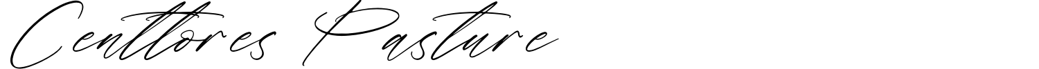 Centtores Pasture Font preview