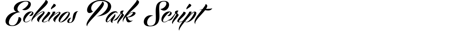 Echinos Park Script Font preview