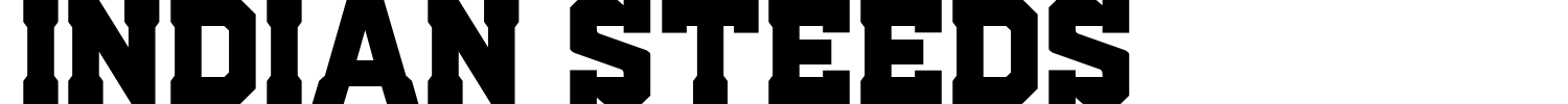 Indian Steeds Font preview