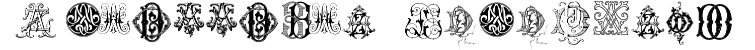 Intellecta Monograms Random Samples Eight Font preview