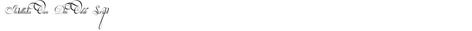 Intellecta Van Den Velde Script Font preview
