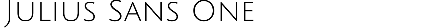 Julius Sans One Font preview