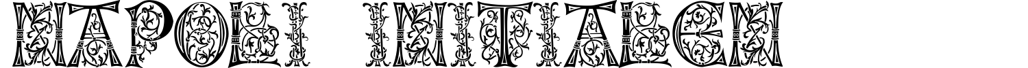 Napoli Initialen Font preview