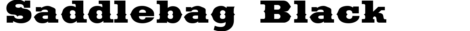 Saddlebag Black Font preview