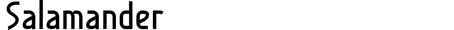 Salamander Font preview