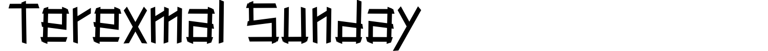 Terexmal Sunday Font preview
