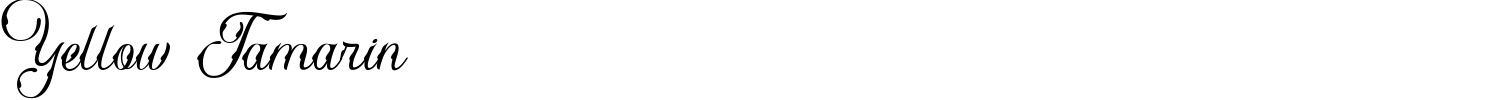 Yellow Tamarin Font preview