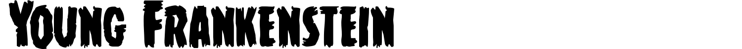 Young Frankenstein Font preview